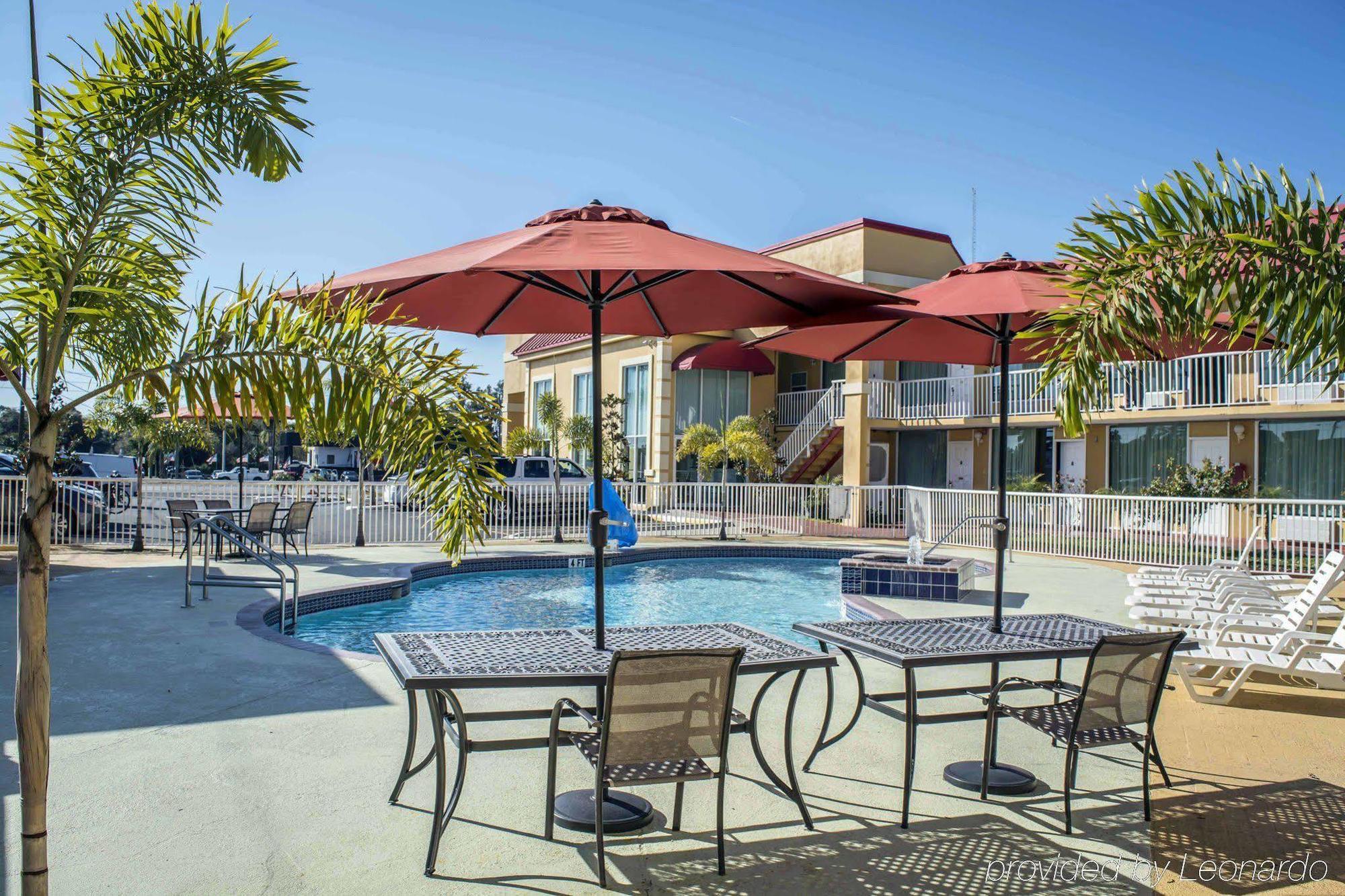 Rodeway Inn New Port Richey Exterior foto